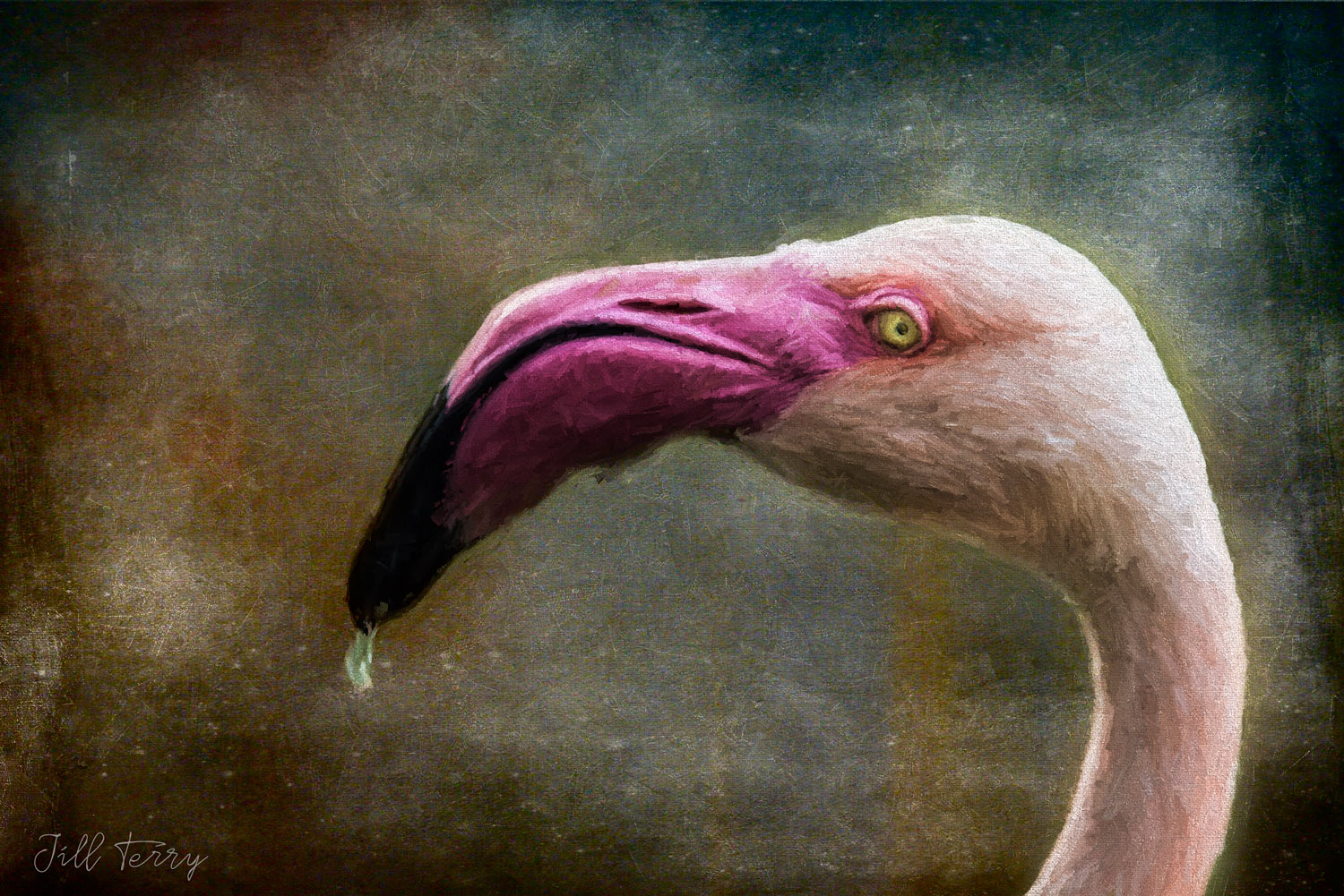 The-Flamingo